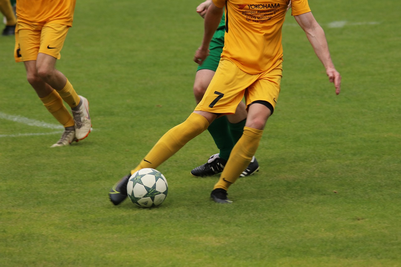 福冈黄蜂曾 福冈黄蜂曾